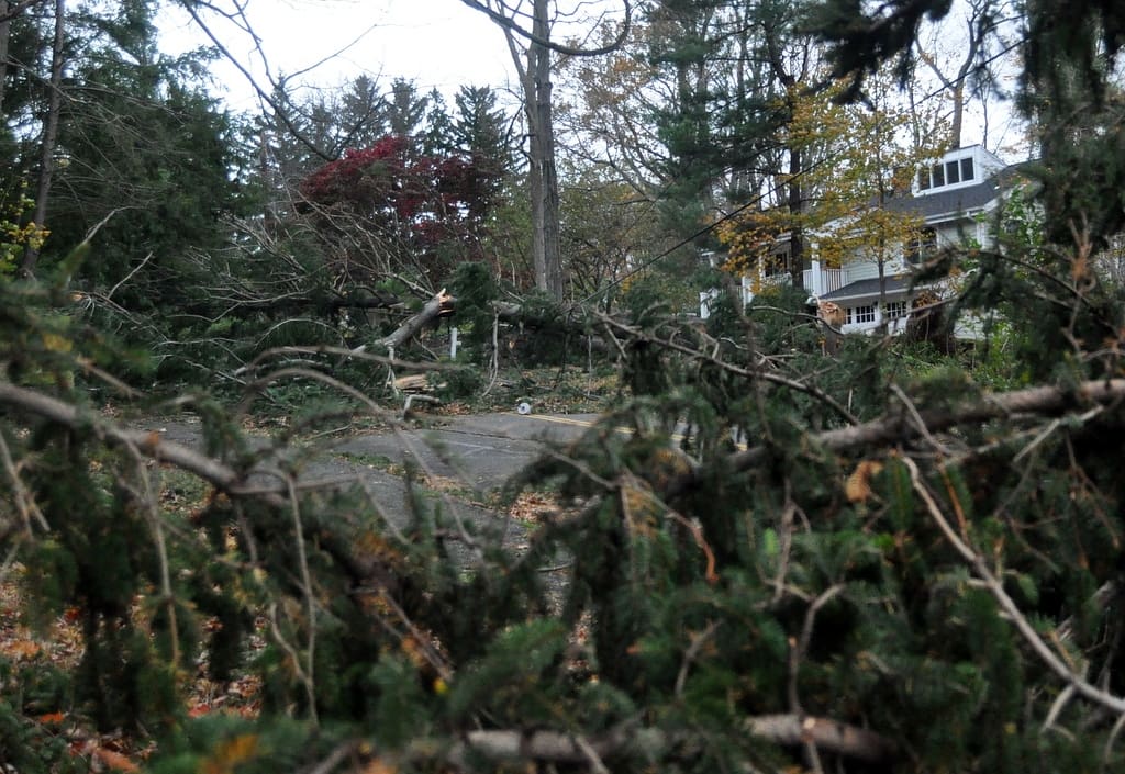 Hurricane Sandy Norwalk Ct 103012 592