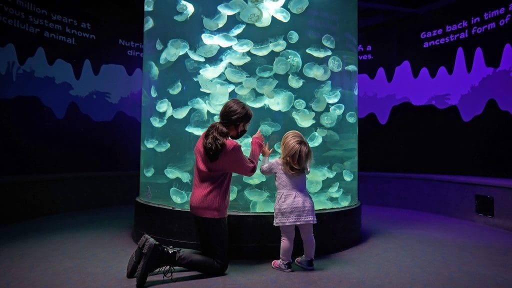 CT youth can visit Maritime Aquarium at no charge Nancy on Norwalk