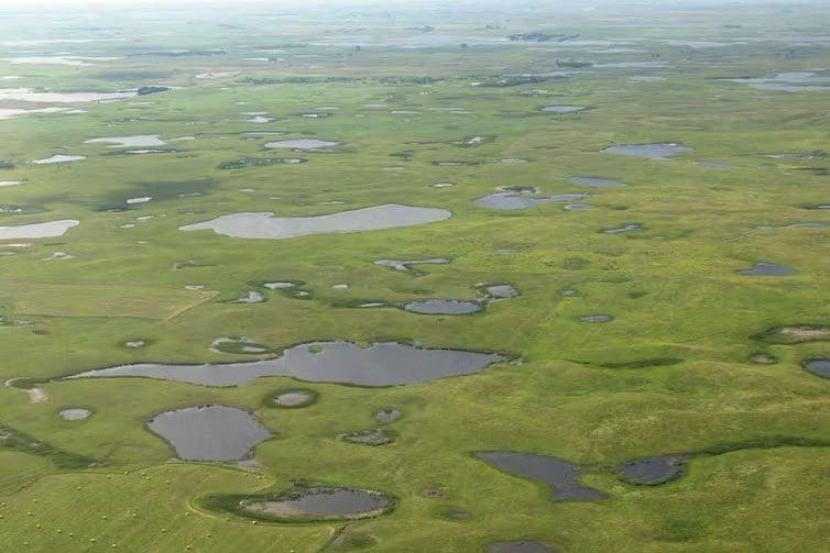 The Supreme Court just shriveled federal protection for wetlands, leaving many of these valuable ecosystems at risk