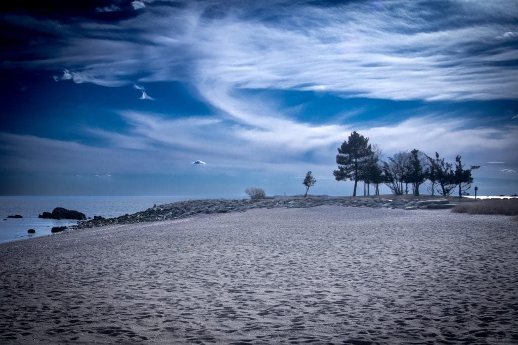 Sherwood Island: Where Sea, Sky, and Stillness Meet | Nancy on Norwalk